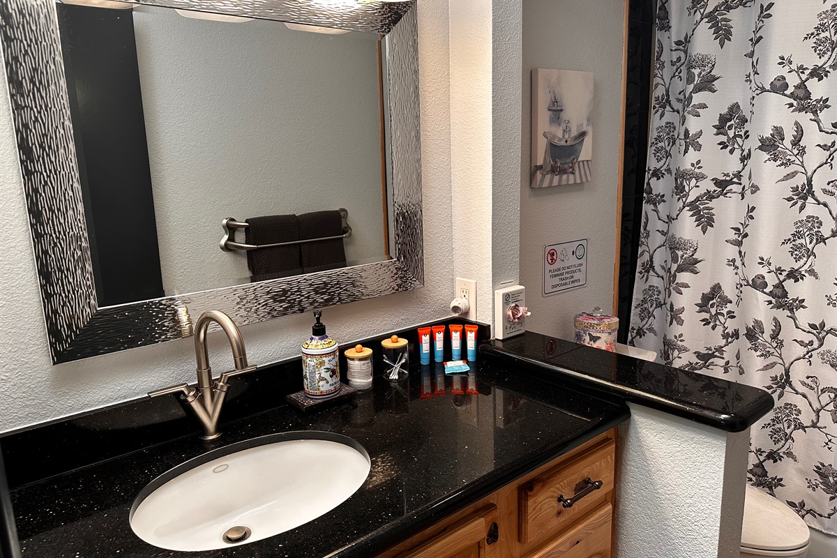 Hallway Bathroom (Full)