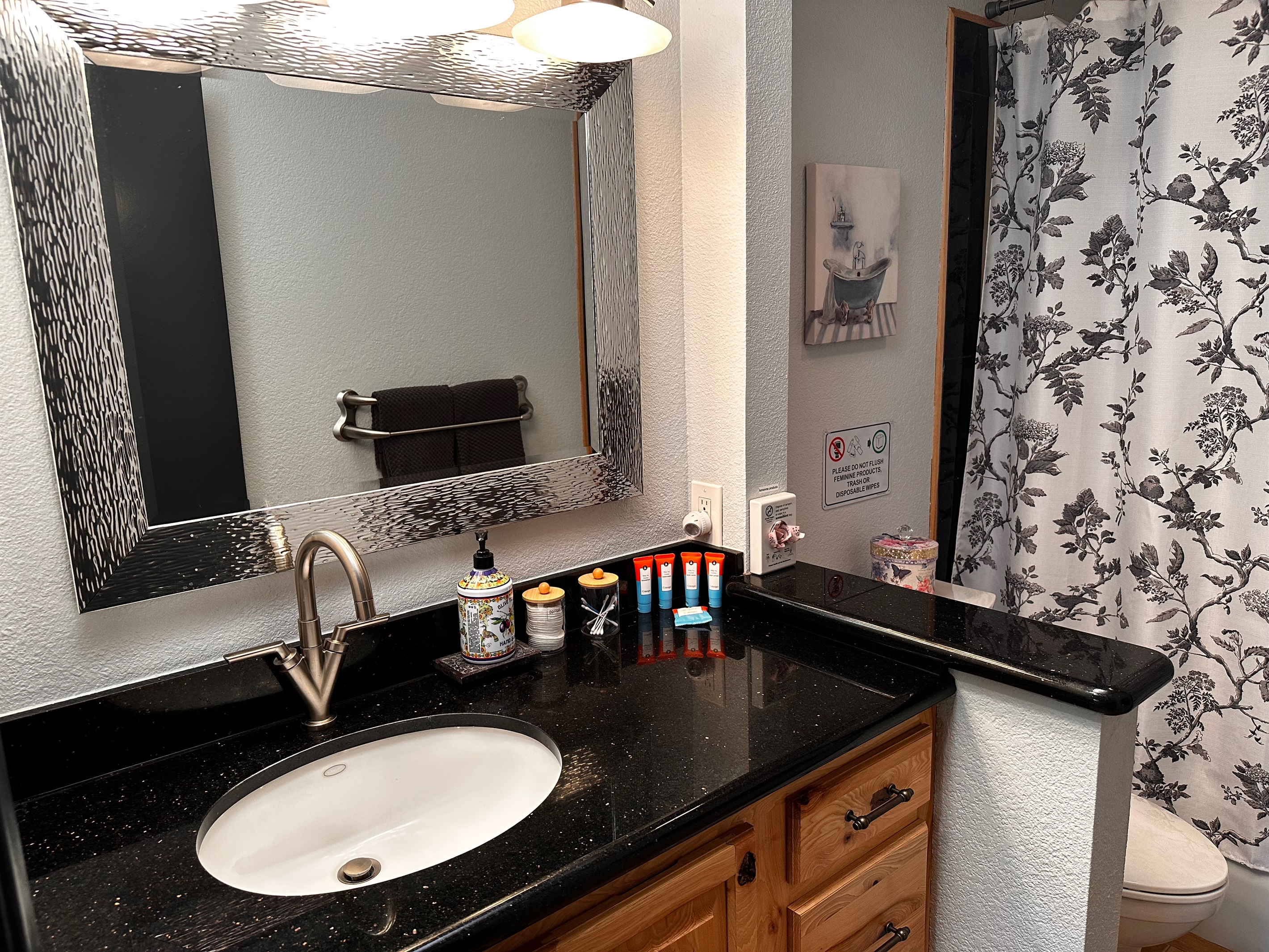 Hallway Bathroom (Full)