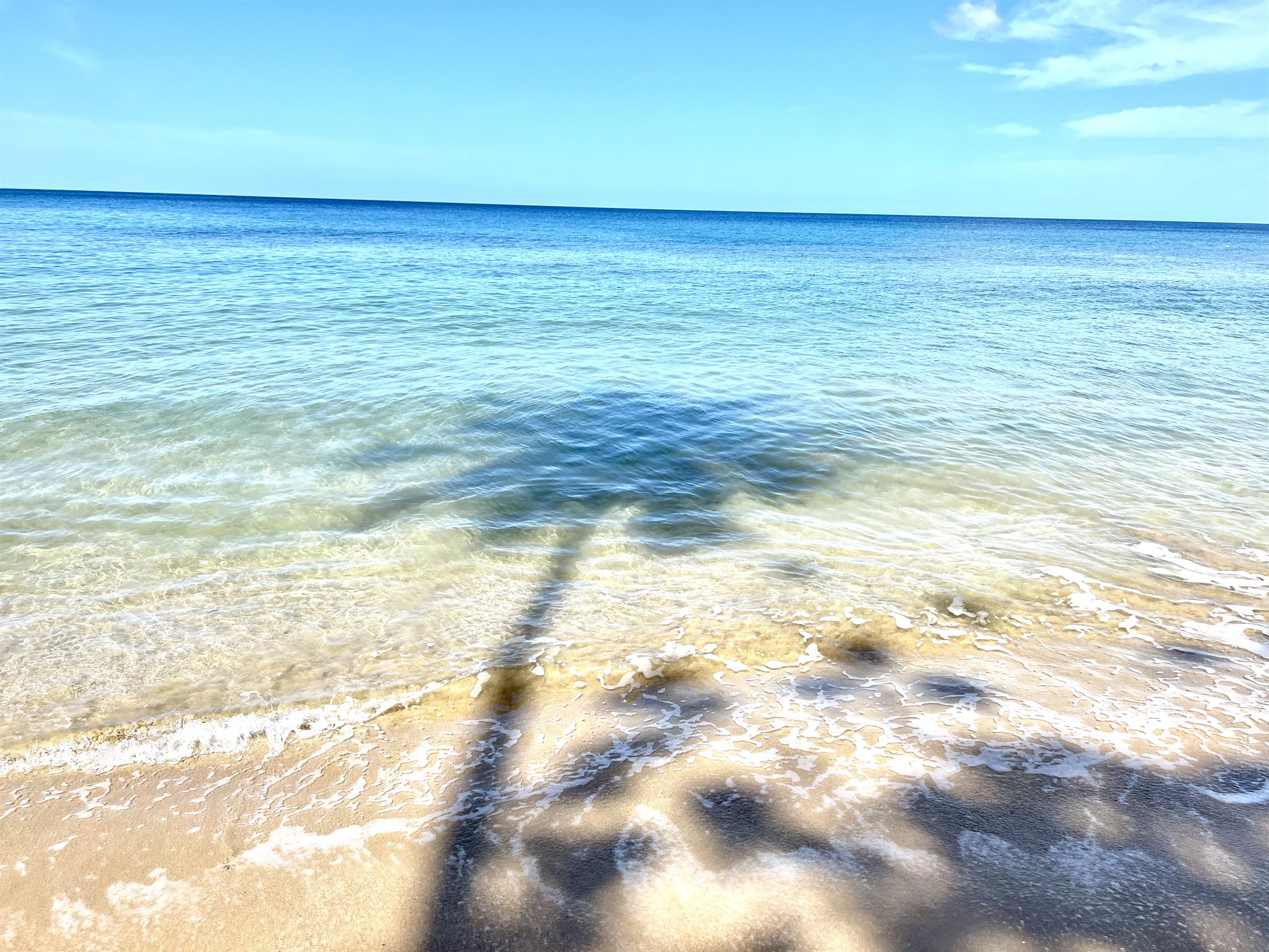 Snowbird Vacation Rentals by Owner on the American Snowbird Network