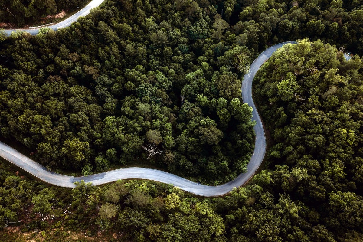 The gorgeous twists and turns of East Tennessee Smoky Mountains.