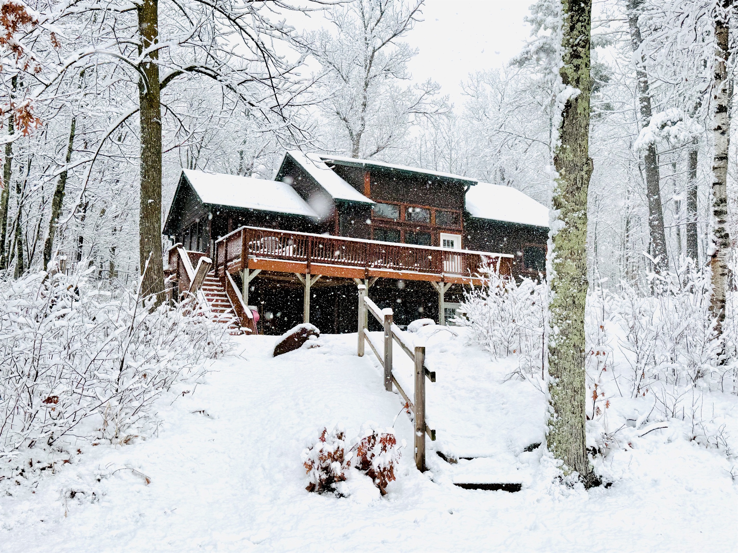 Welcome to Cattail Cabin!