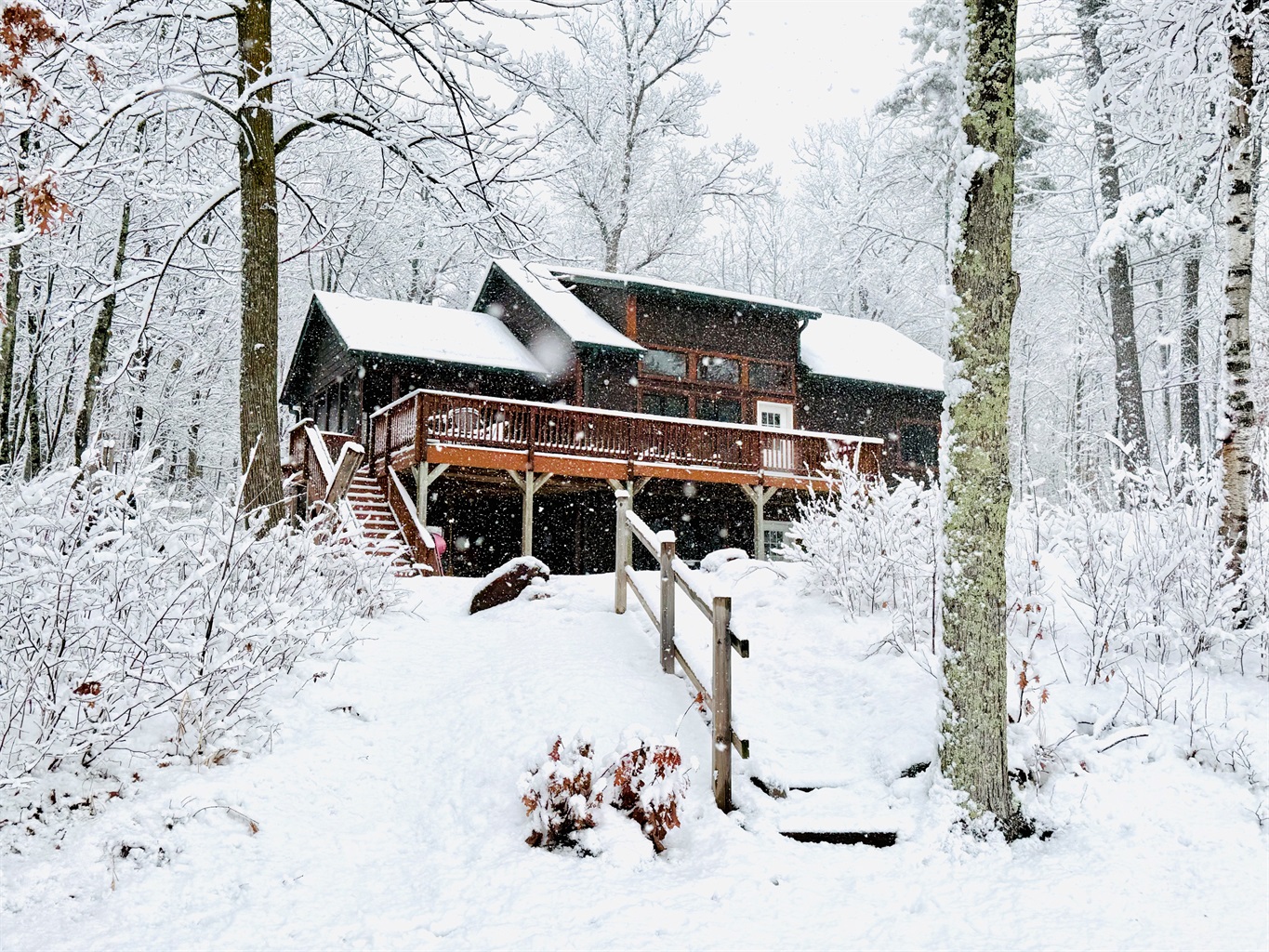 Welcome to Cattail Cabin!