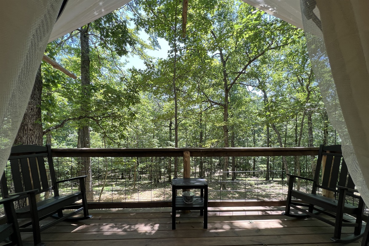 Views of nature
