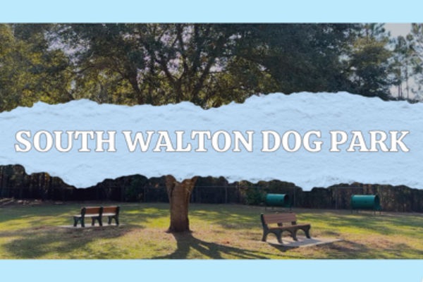 New and beautiful dog park thats walkable from condos