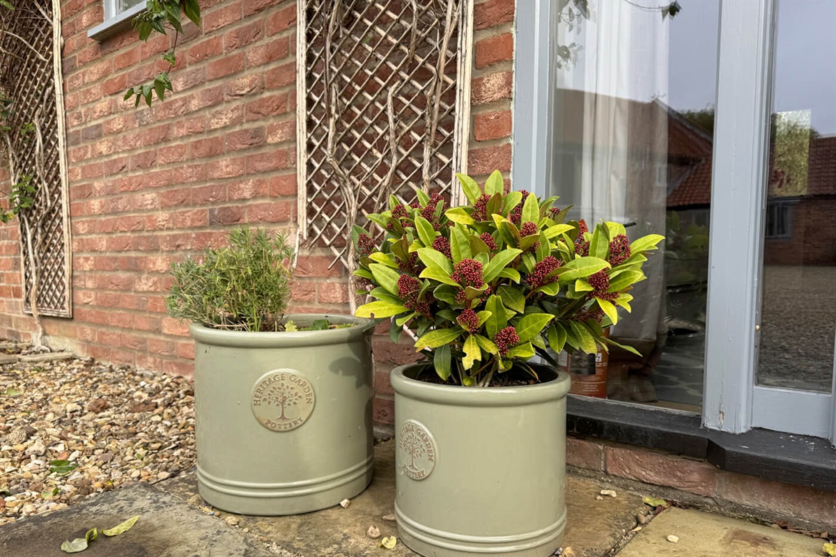 Planting at the front door of The Pen