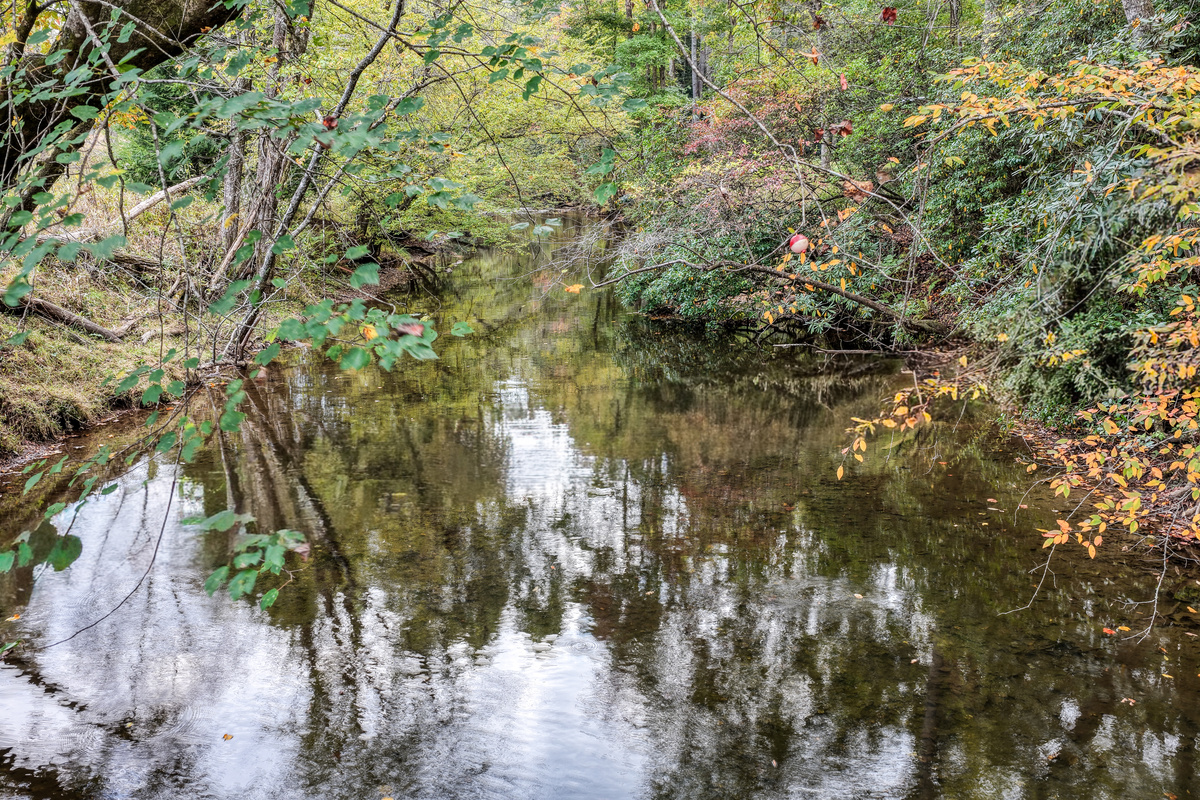 Quiet creek with fall colors.