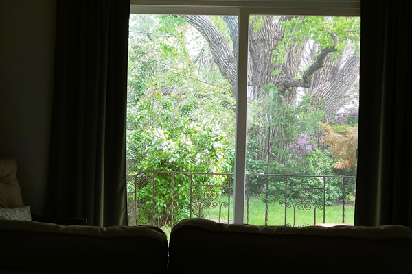 Right outside the living room sliding glass door, view the bald eagles that perch in the giant Cottonwood tree and old growth lilacs that burst into bloom in the spring. 