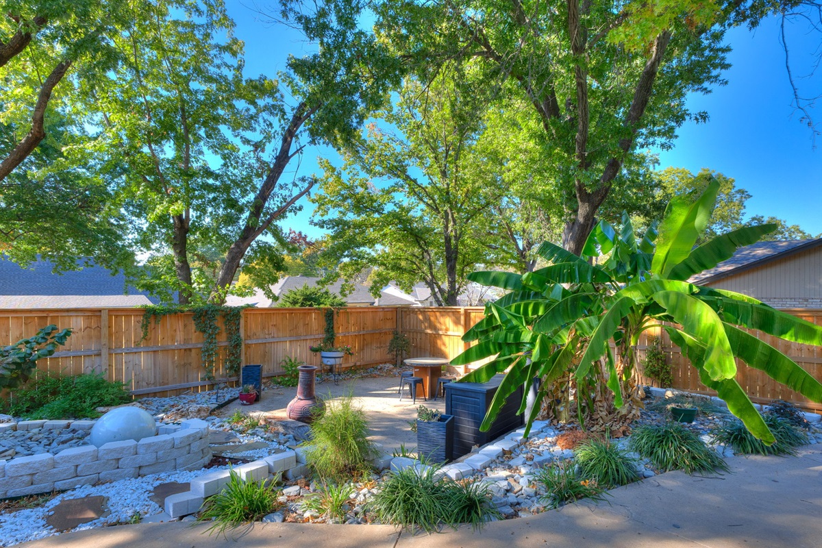 Backyard