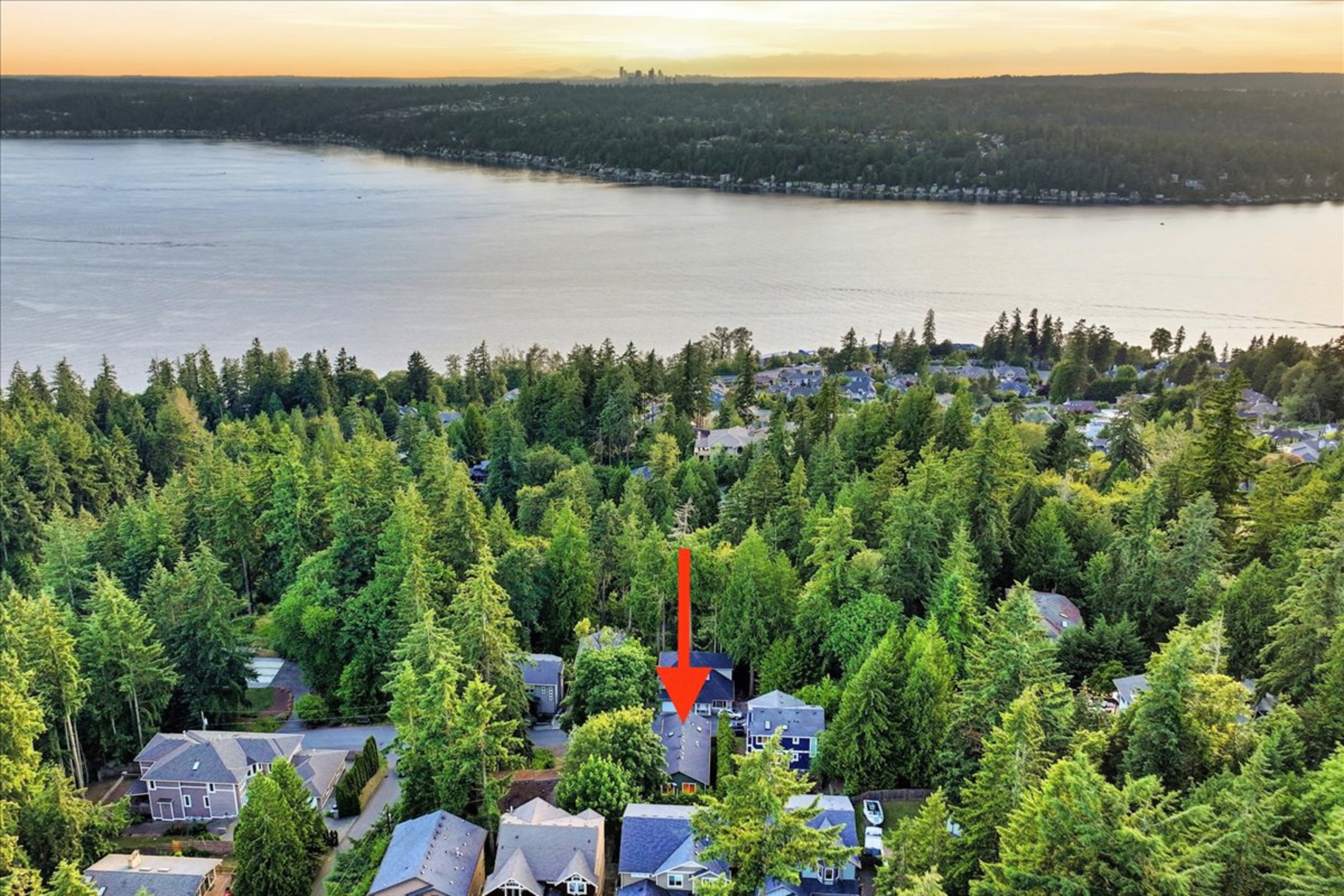 Drone View
