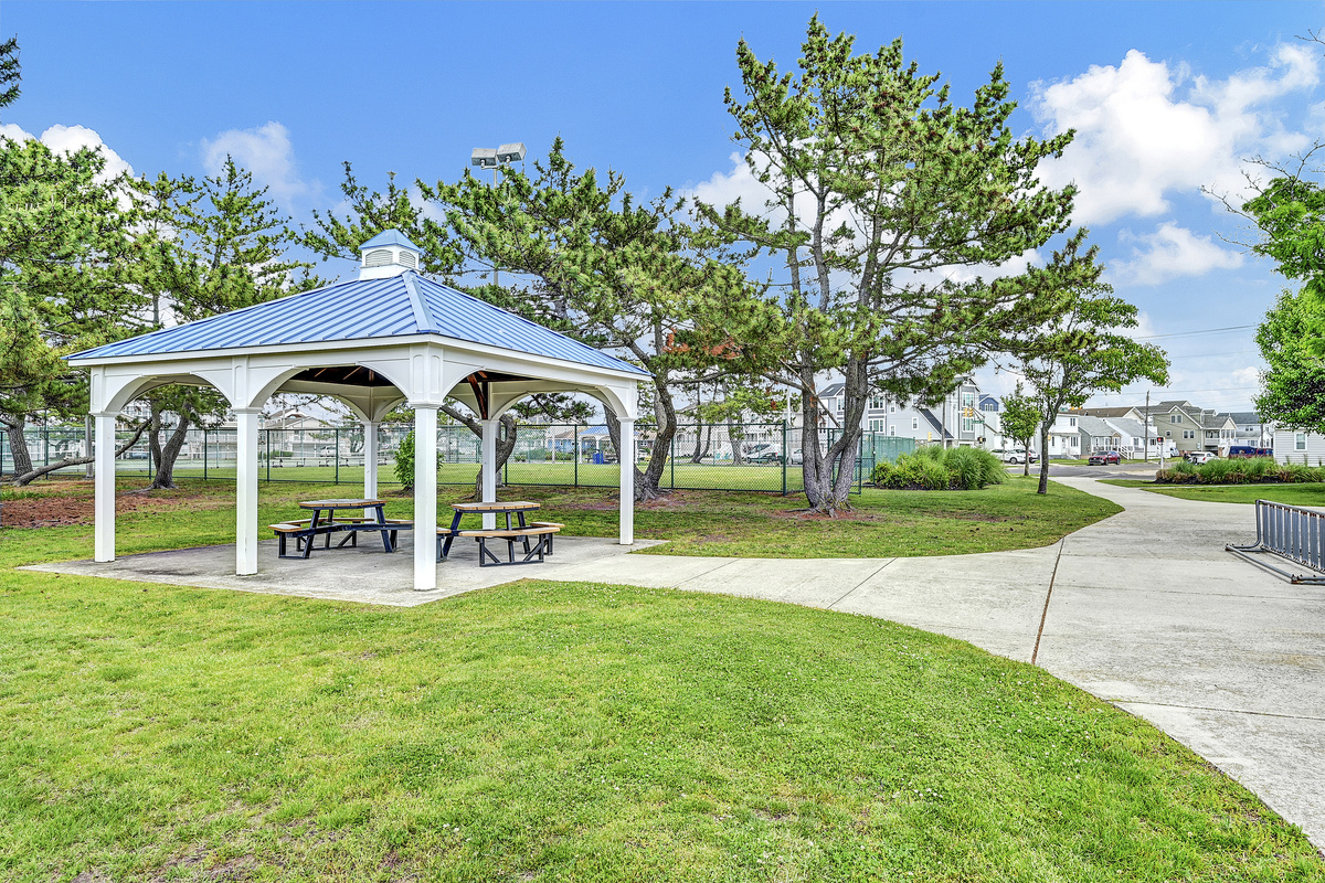 Albert J Allen Park is right near by for Pup Walking and soo much more!