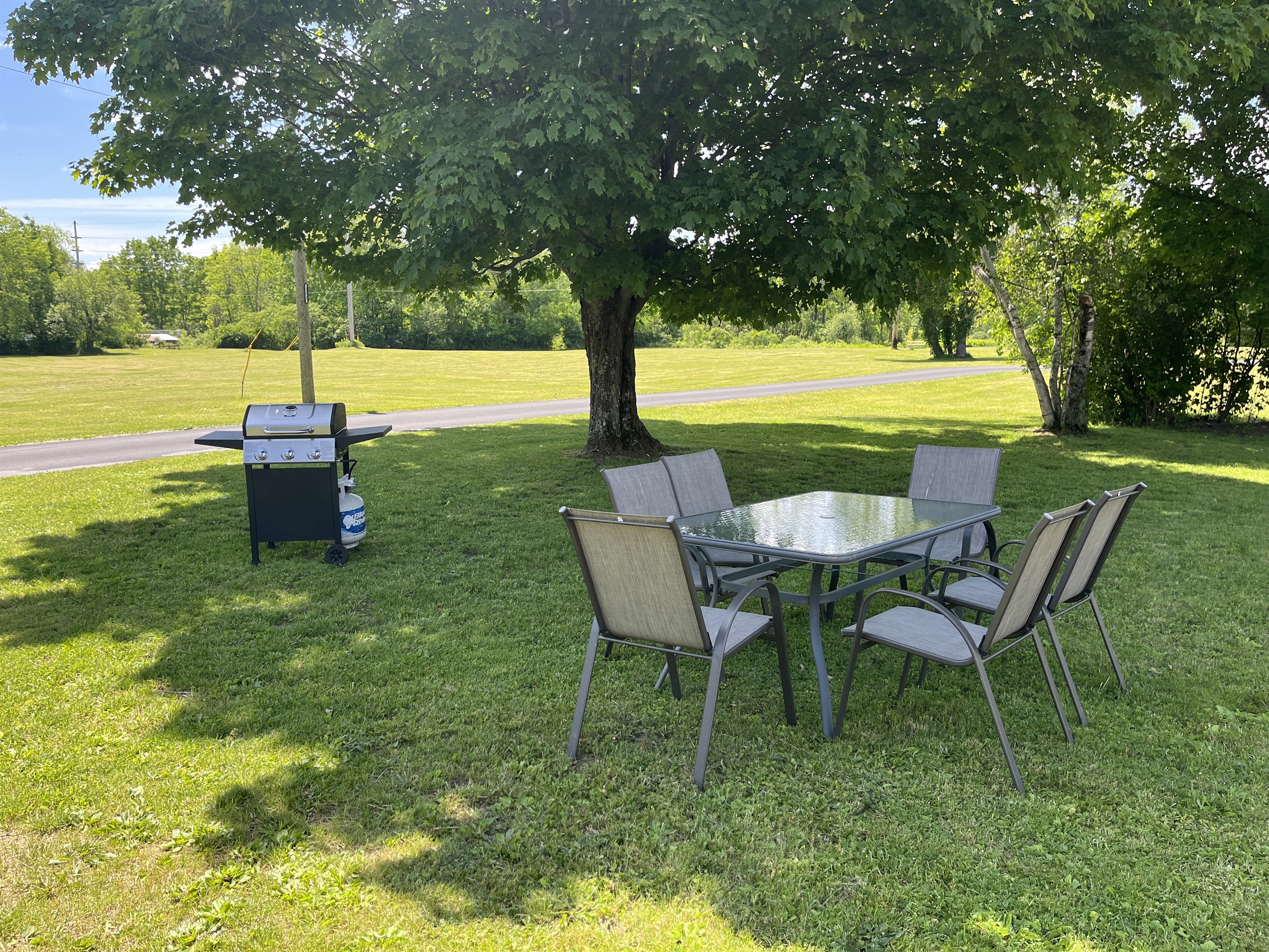 Picnic and BBQ area