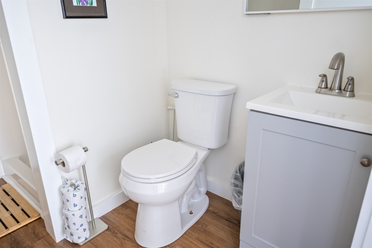 Back Bathroom - Vanity