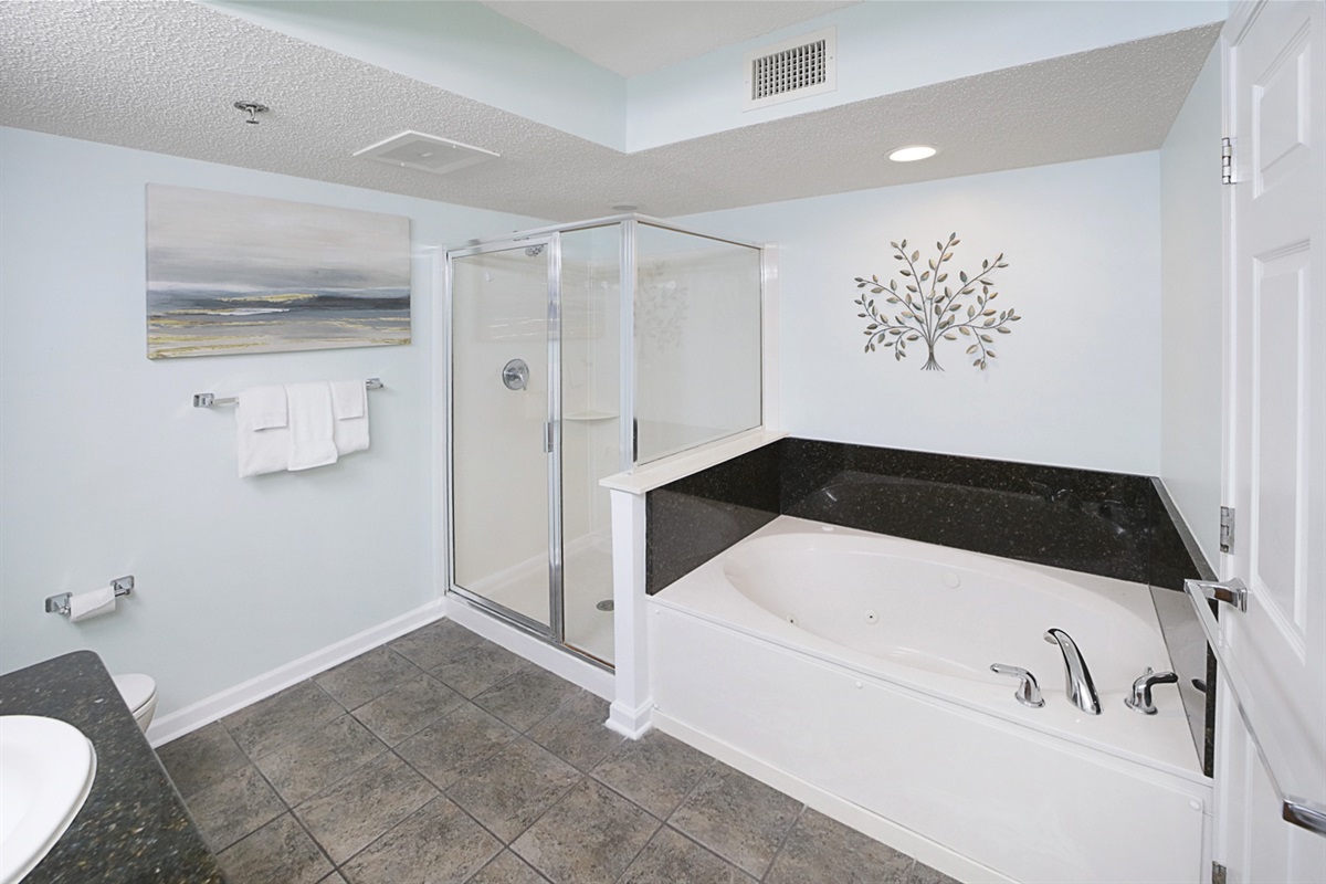 Main Bath Jetted Tub