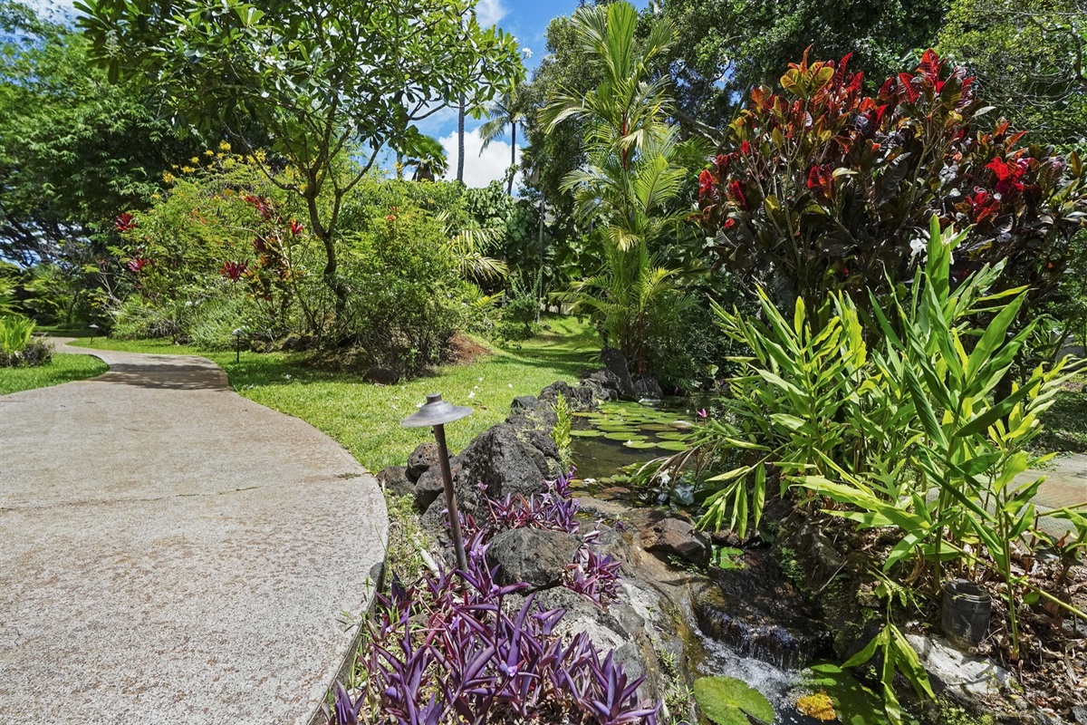 Variety of tropical plants