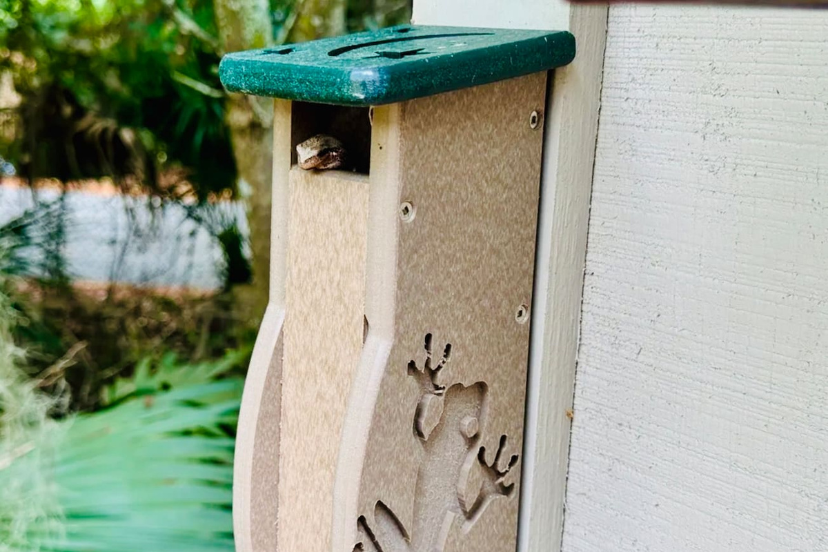 Outdoor shower
