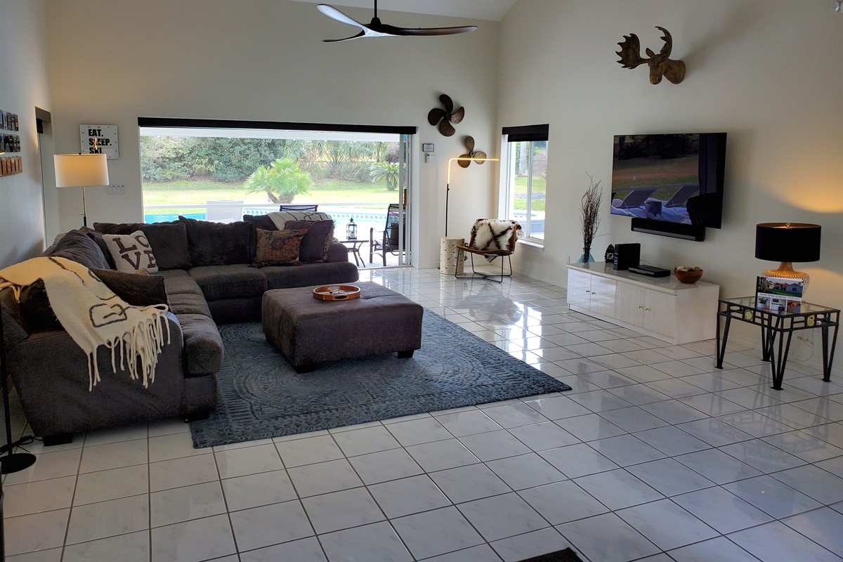 Living Room view and smart TV