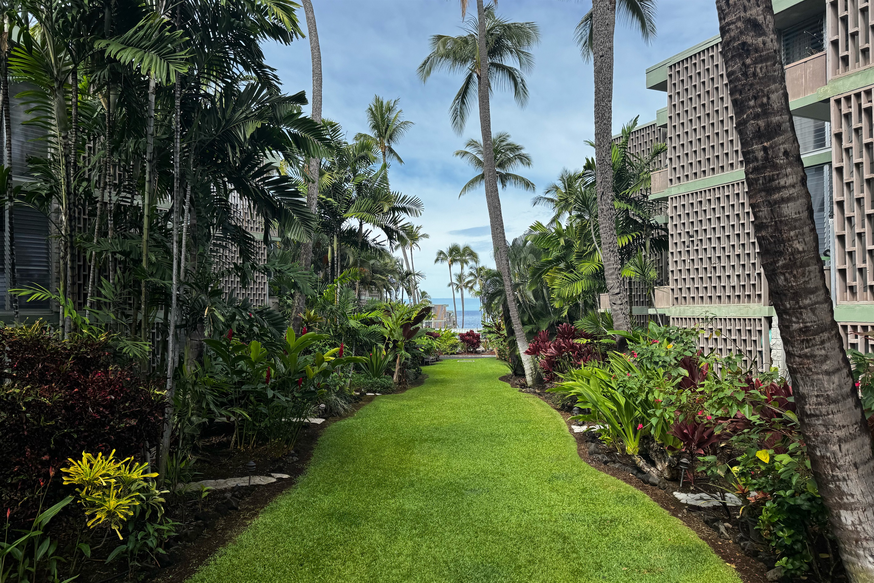 A quiet tropical garden where the day slows down—sunlight through the palms, the gentle hush of the ocean beyond, and just enough shade to sit, breathe, and let the island settle in.