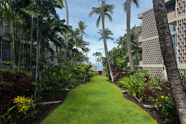 A quiet tropical garden where the day slows down—sunlight through the palms, the gentle hush of the ocean beyond, and just enough shade to sit, breathe, and let the island settle in.