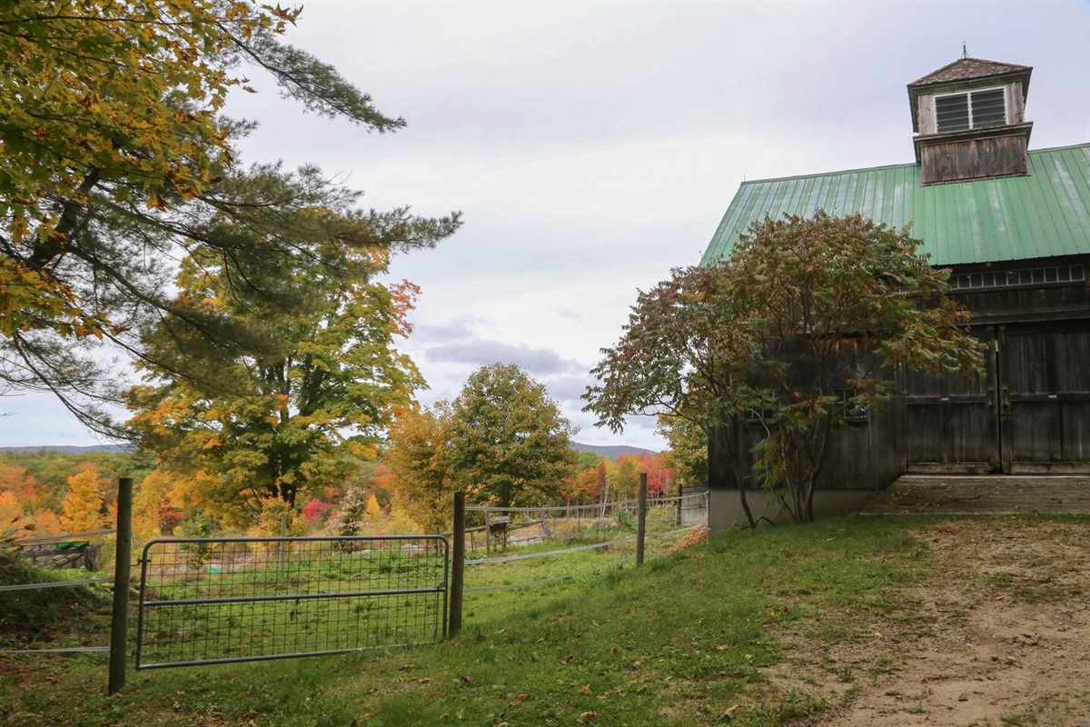Animal Barn with Mt. Skatutakee behind.