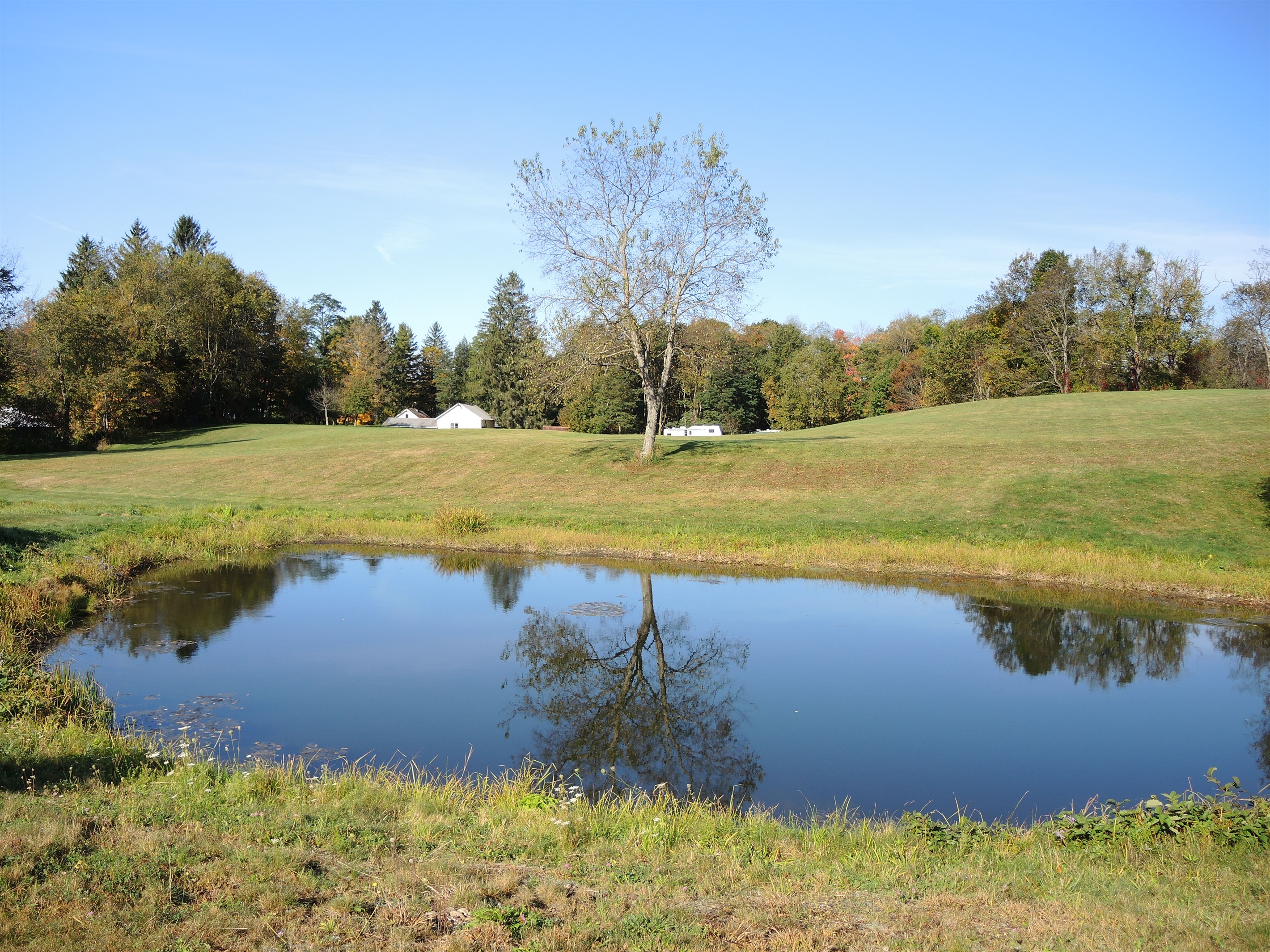 Pond shared with 1825 Farmhouse and 1825 Cottage.