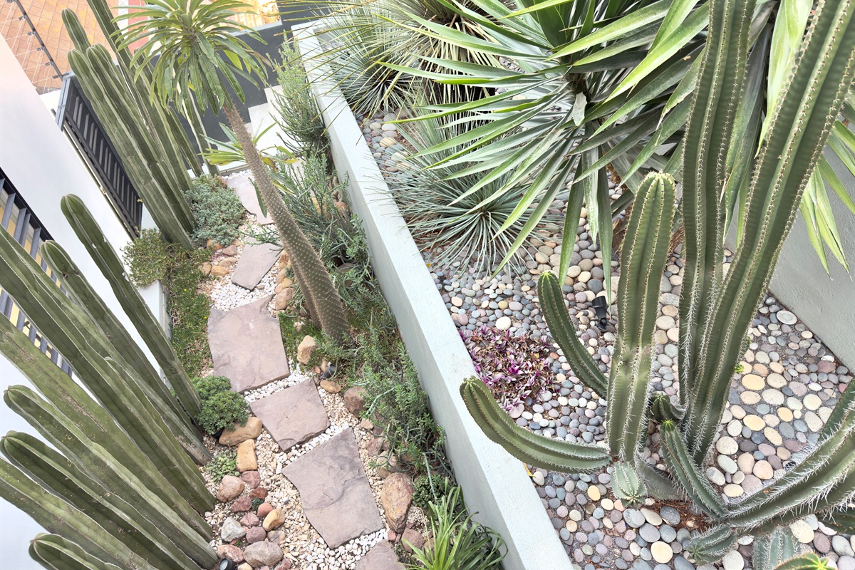 Outdoor Planting Area