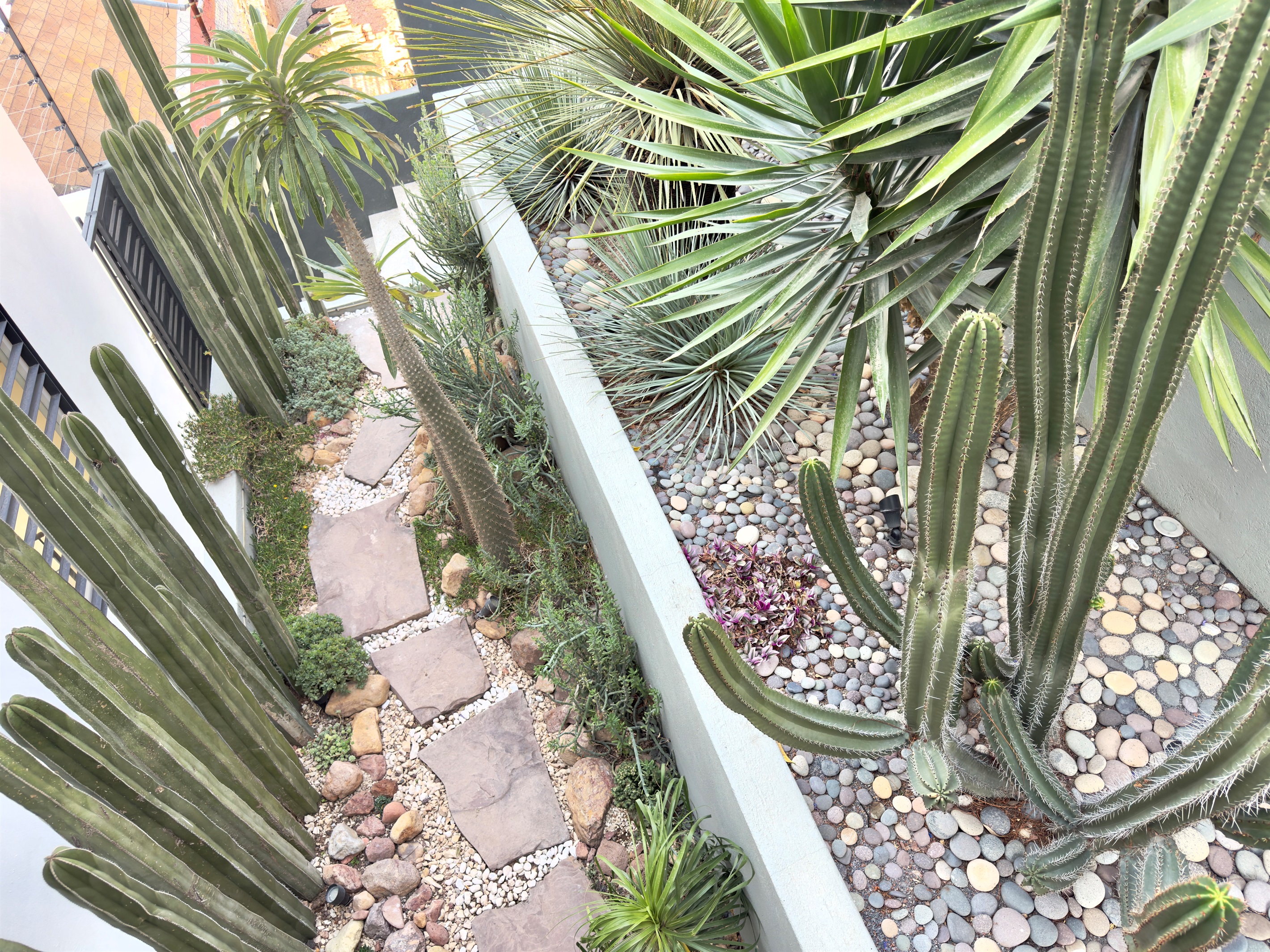 Outdoor Planting Area