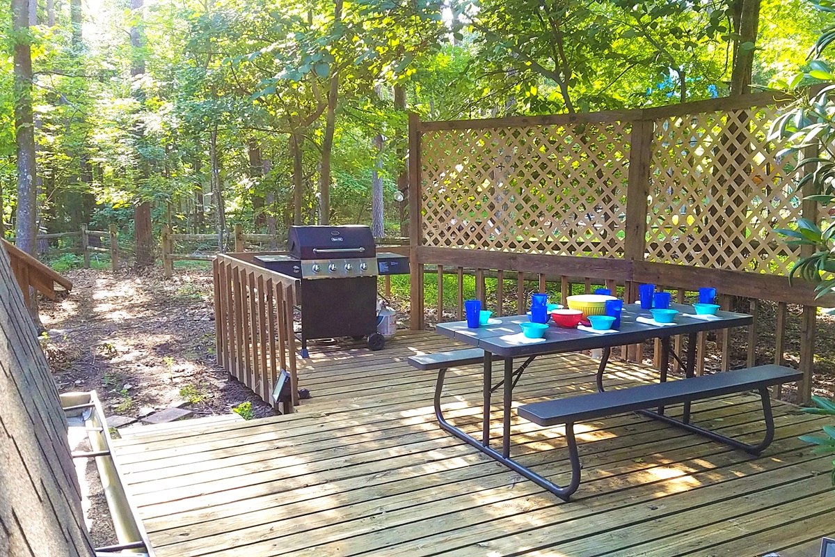 Outdoor grill and table