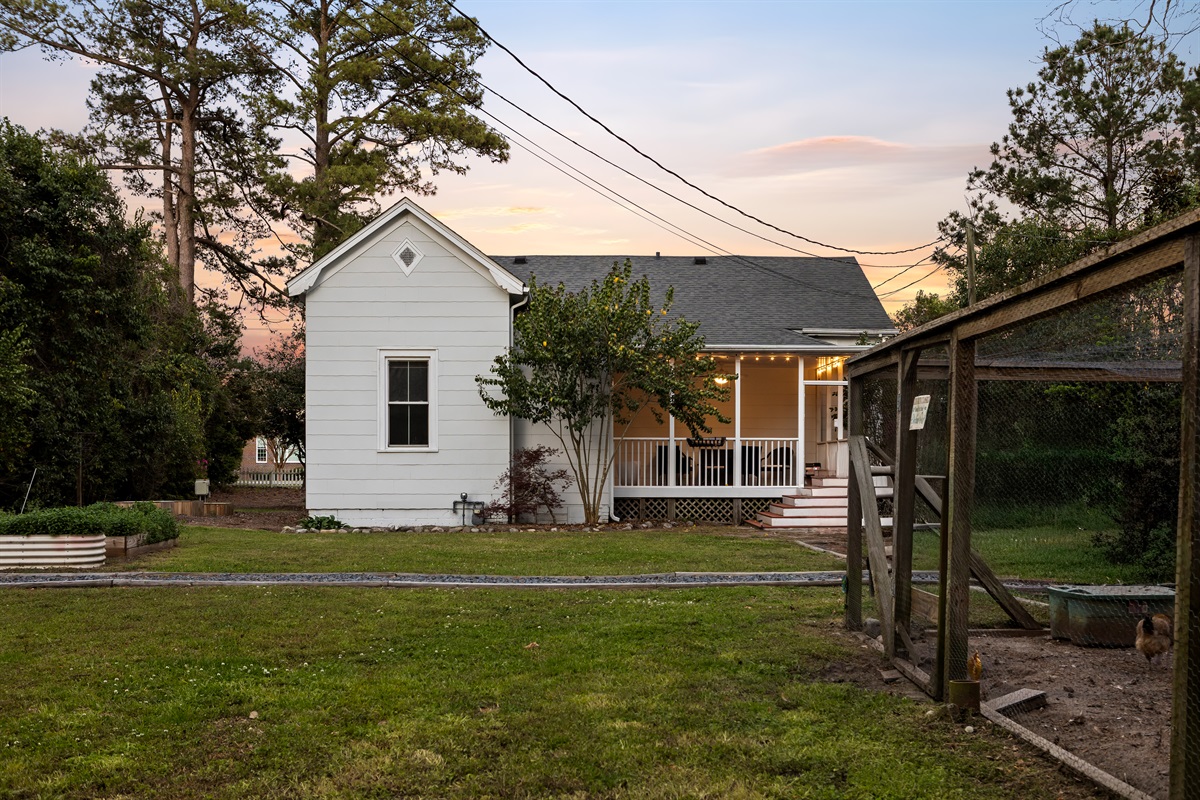 Chickens for extra magic!