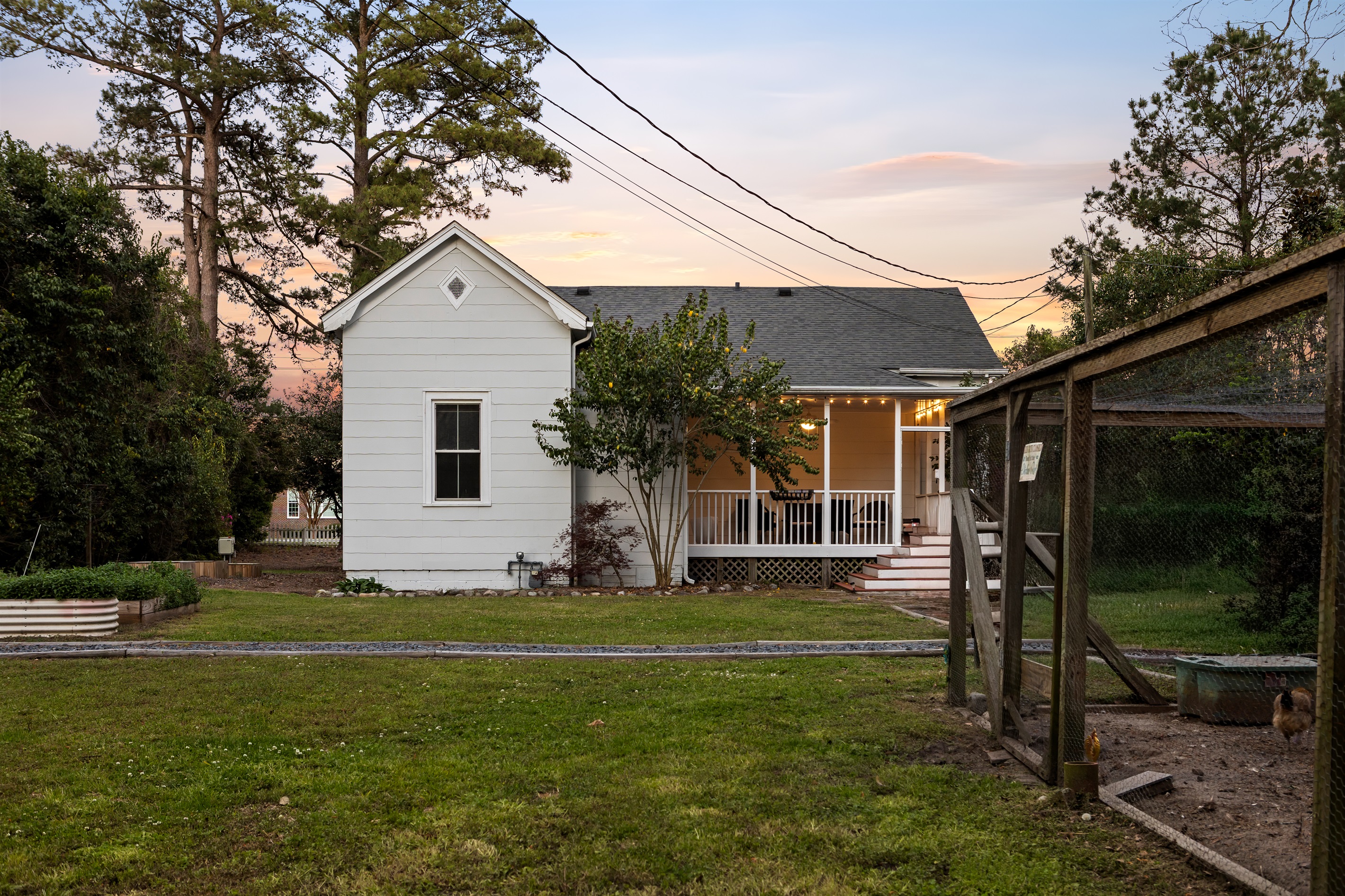 Chickens for extra magic!