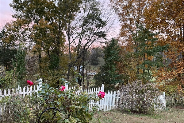 Even in autumn the grounds offer color