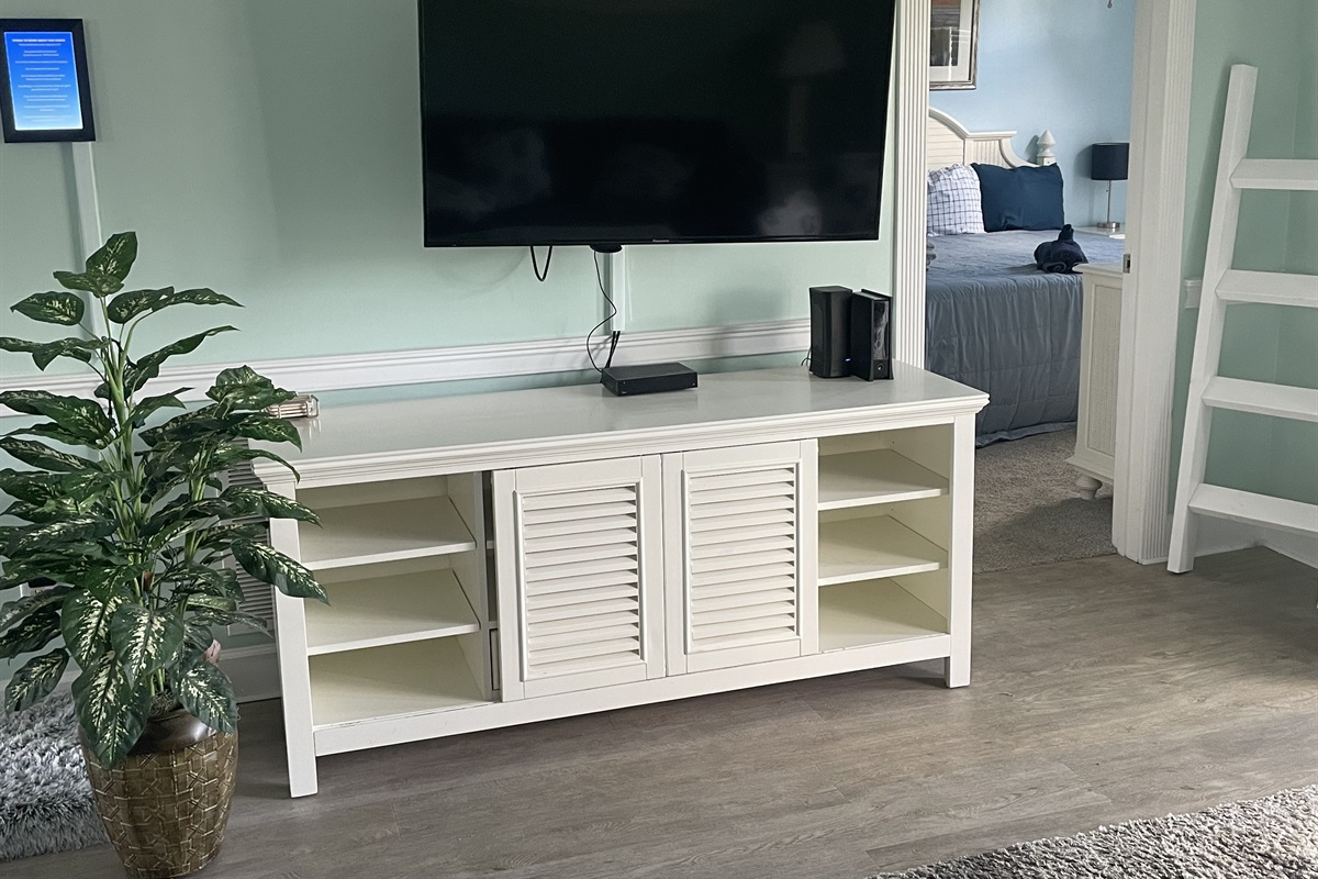 Roku Attachment on Living Room TV