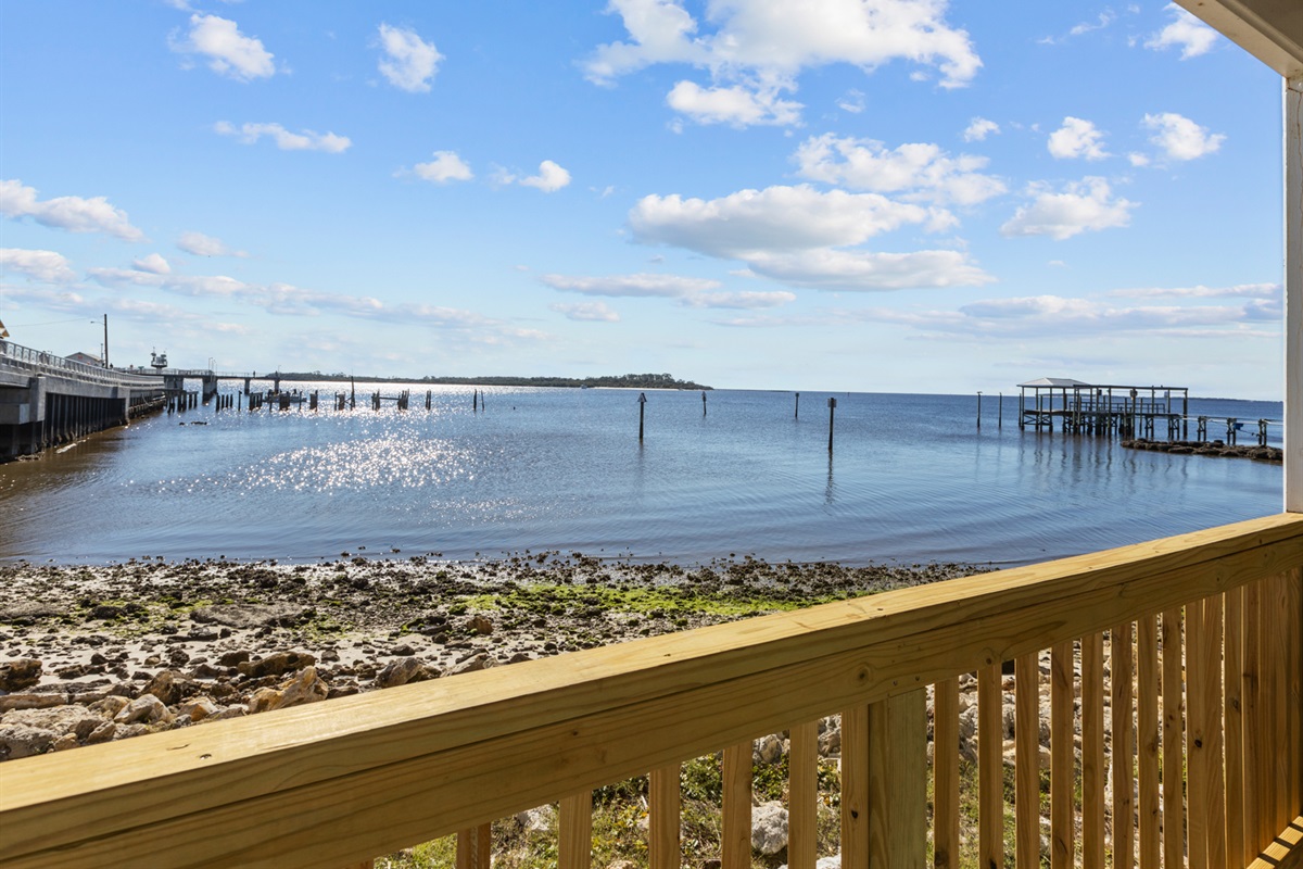 Life on the Water's Edge