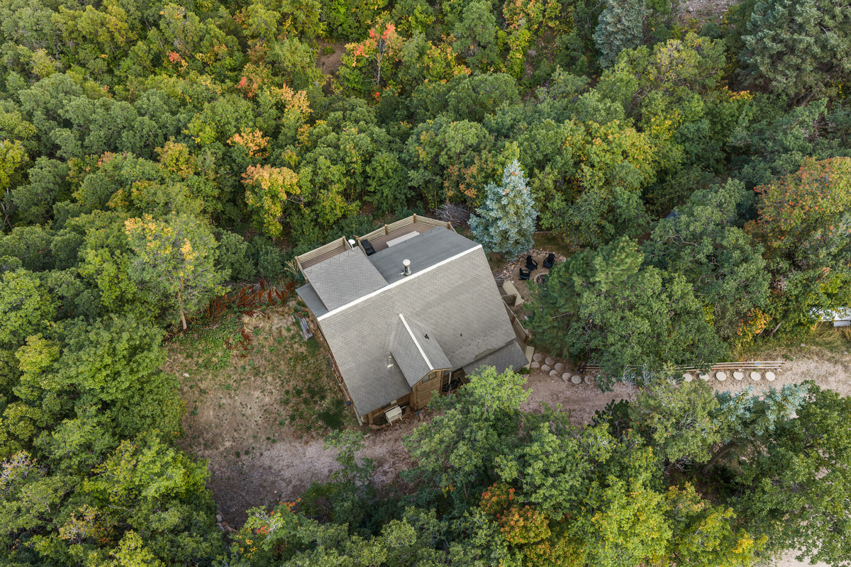 Overhead look at the cabin nestled beneath a canopy of mature trees.