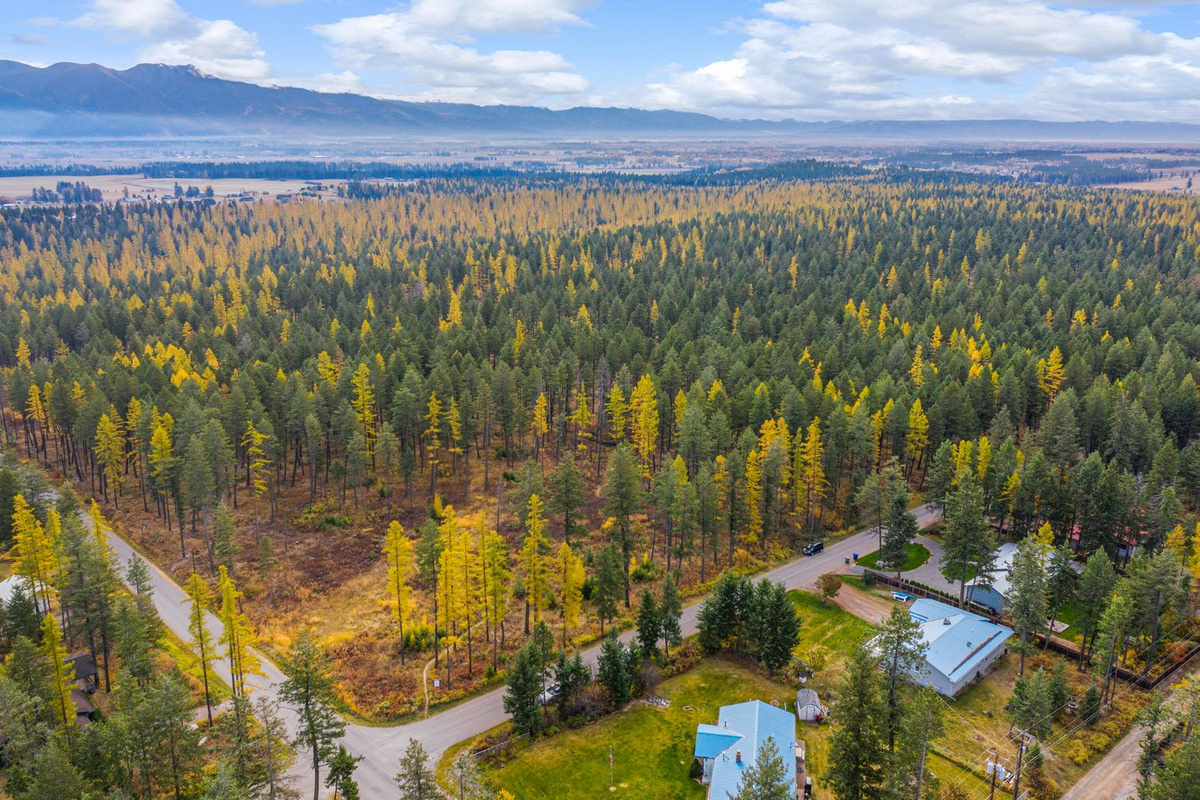 Ariel View looking at the Columbia Mt. range.