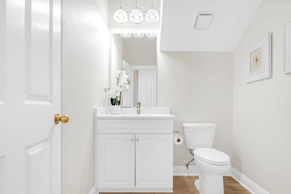 Bathroom 2 (Downstairs)
