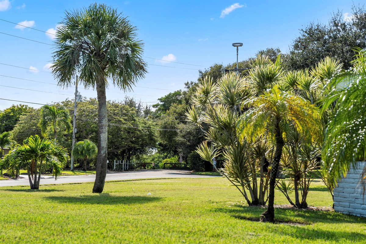 It's just a short walk to the Banana River kayak and paddle board launch