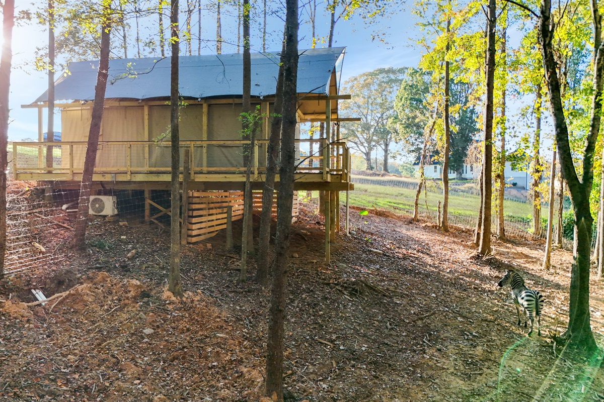 Experience outdoor tranquility surrounded by nature and playful zebras!