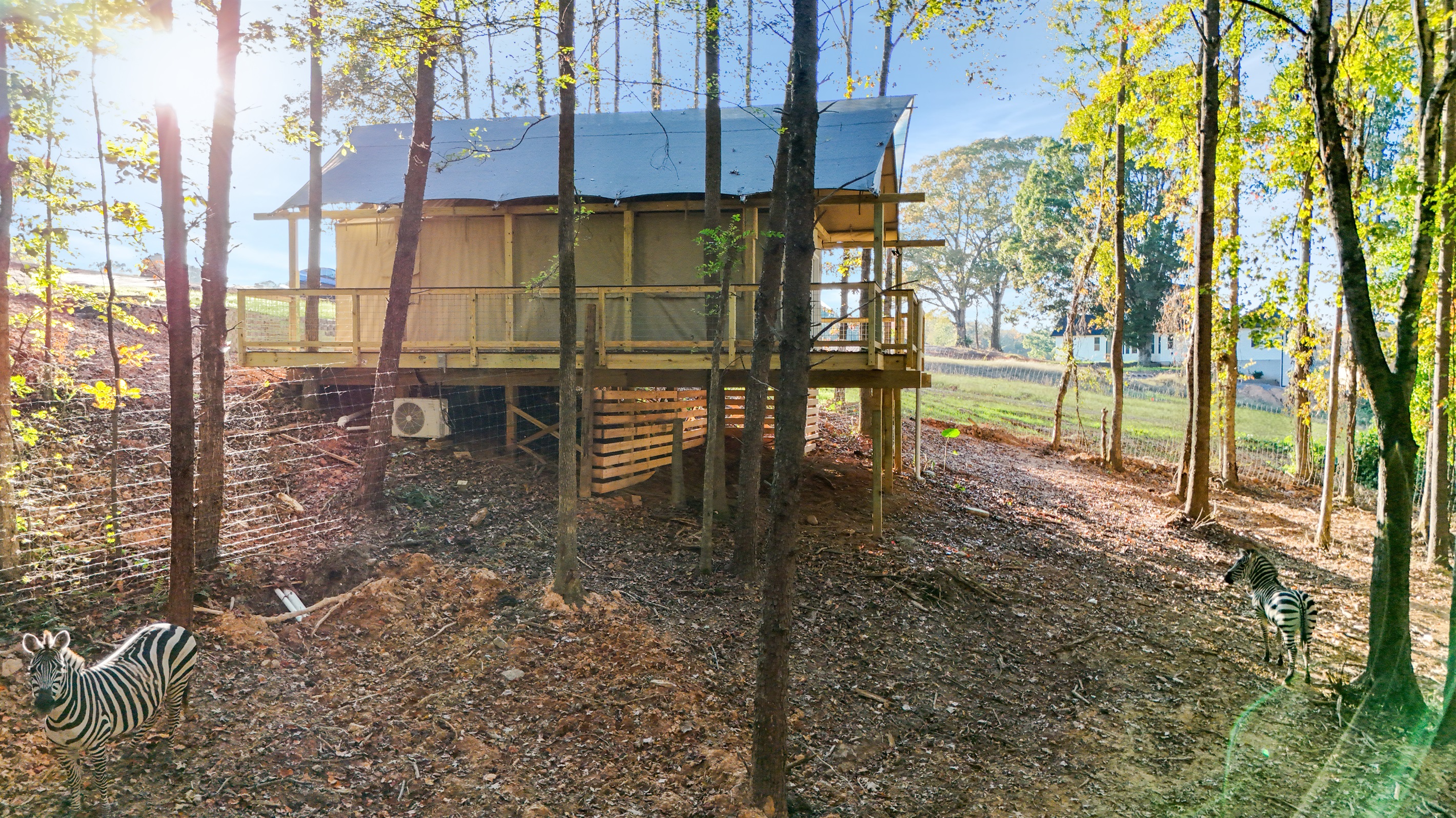 Experience outdoor tranquility surrounded by nature and playful zebras!