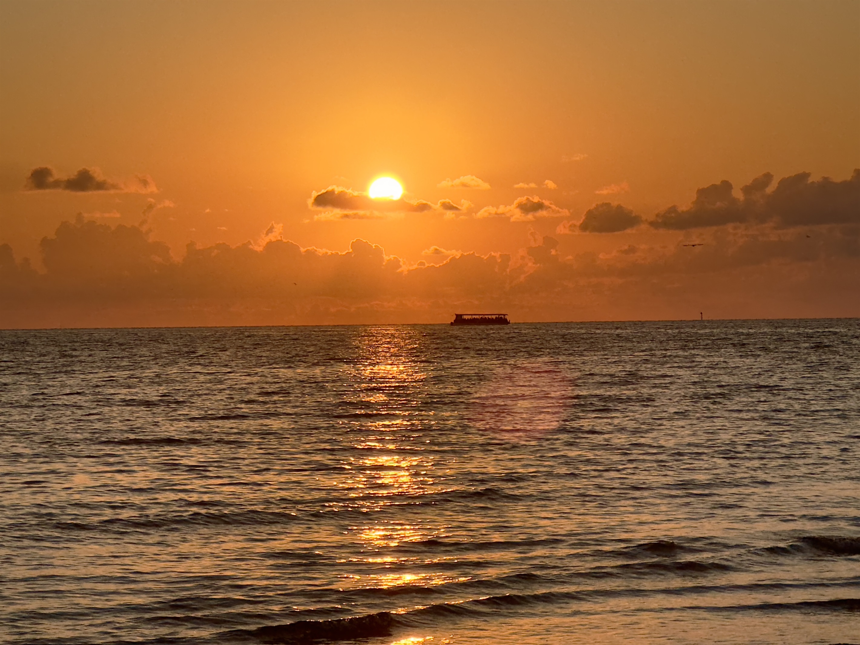 Budget-Friendly · Luxe Comfort & Style 6