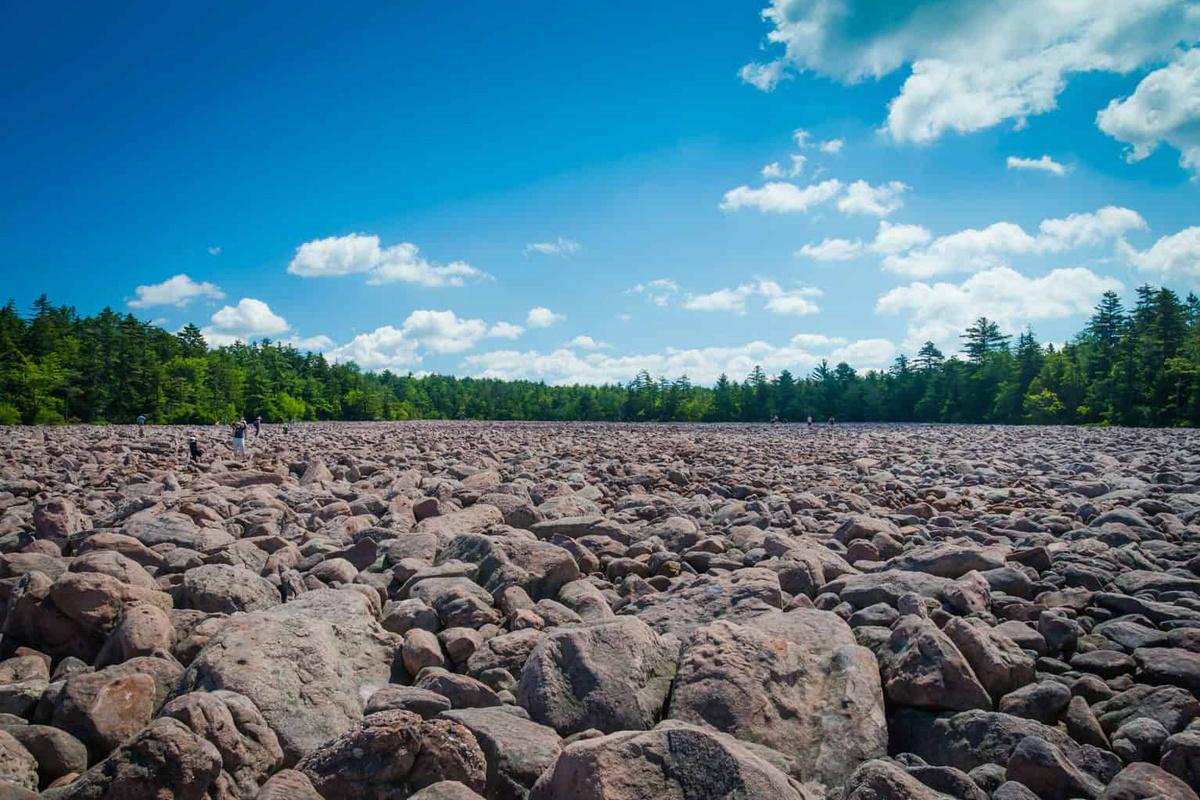 Hickory Run State Park is 25 minutes away.
