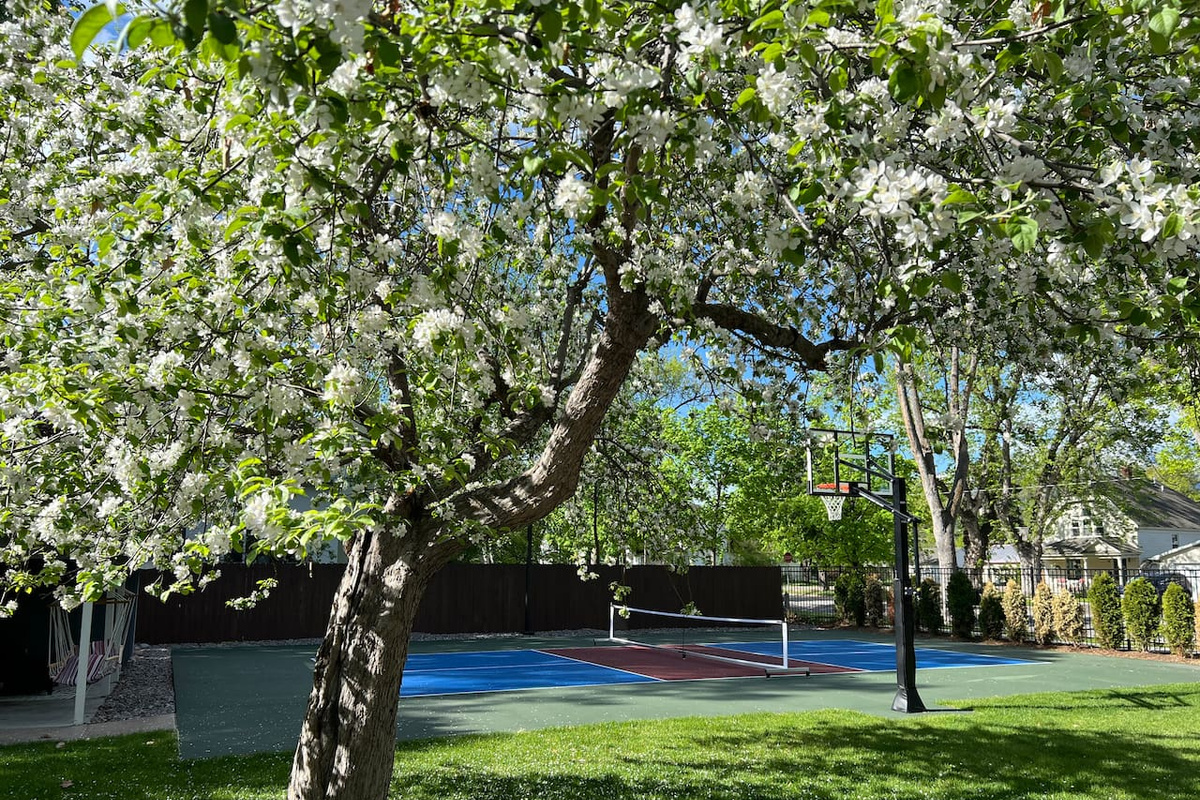 Your own basketball and pickleball courts with night lighting. Paddles and balls provided. Find out why everyone loves pickleball!