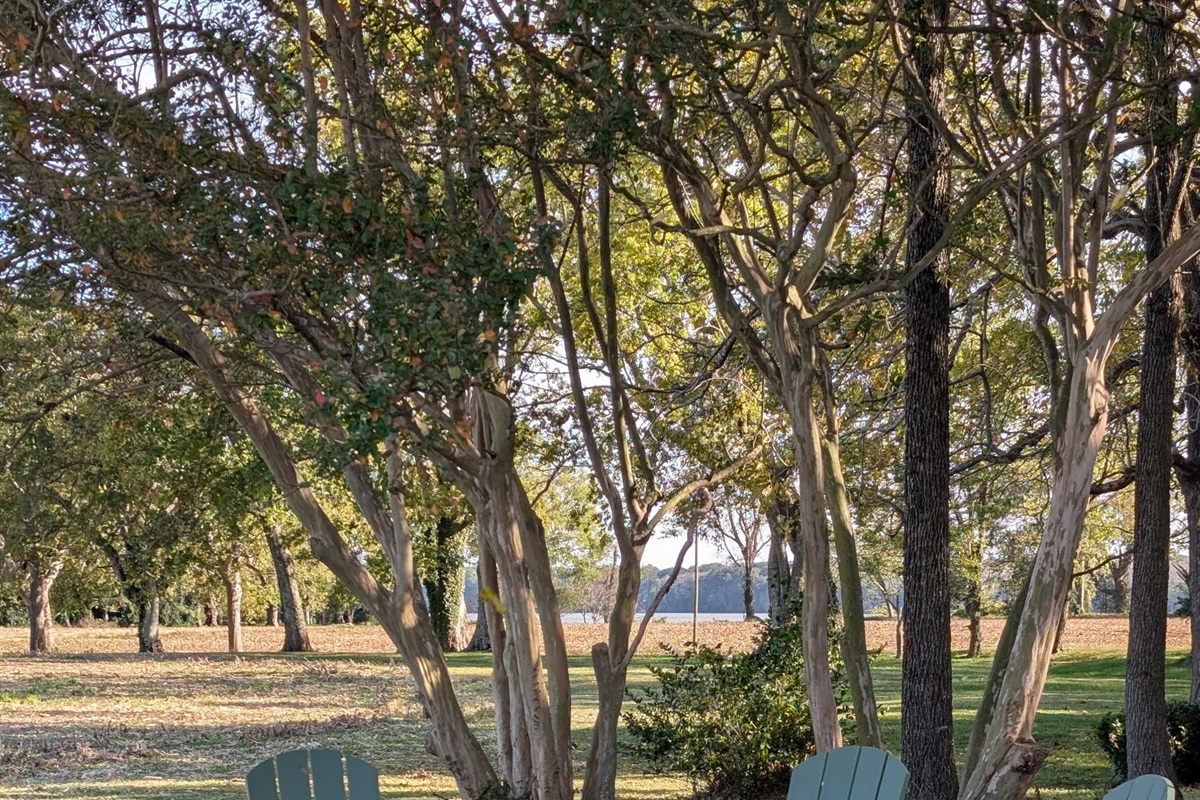 Perfect spot to make memories!