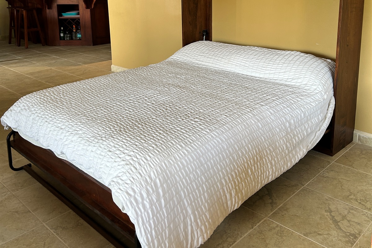 2D Murphy Bed