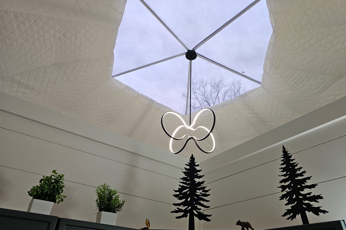 A skylight view that brings the forest indoors