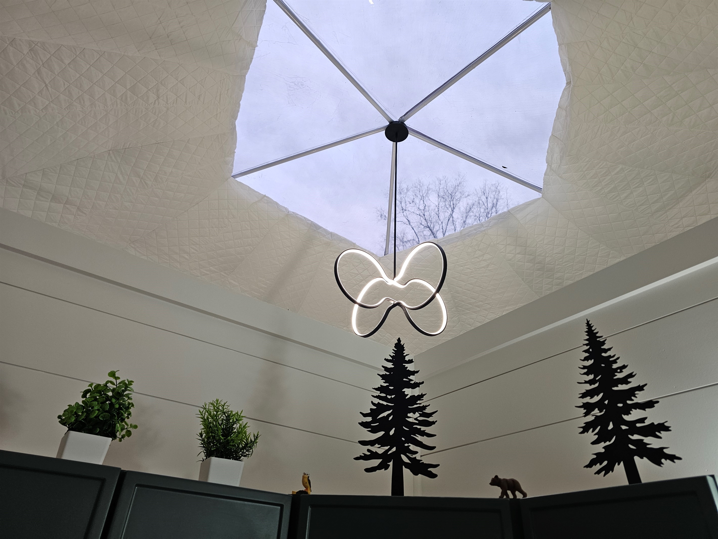 A skylight view that brings the forest indoors