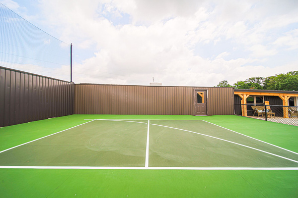 The Pickleball Court