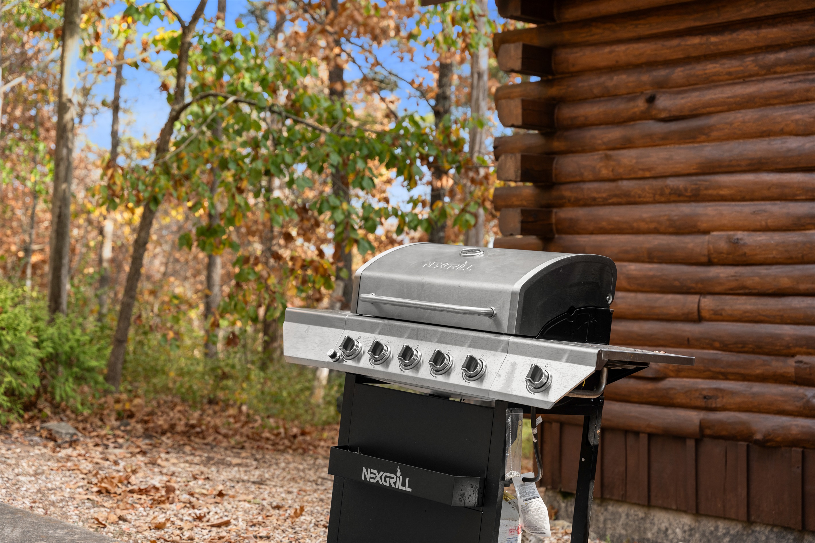 Romantic dinner awaits—grill up something special together