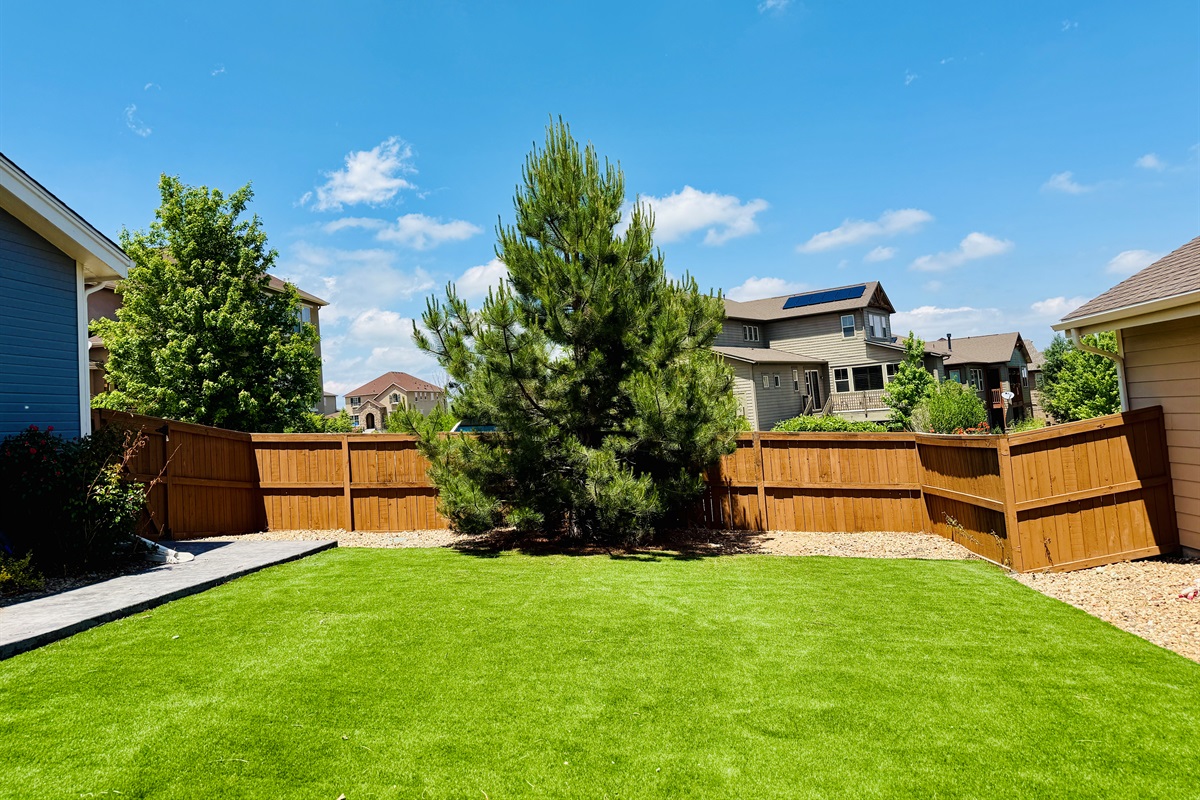Large yard with faux grass, ready to enjoy all year round!