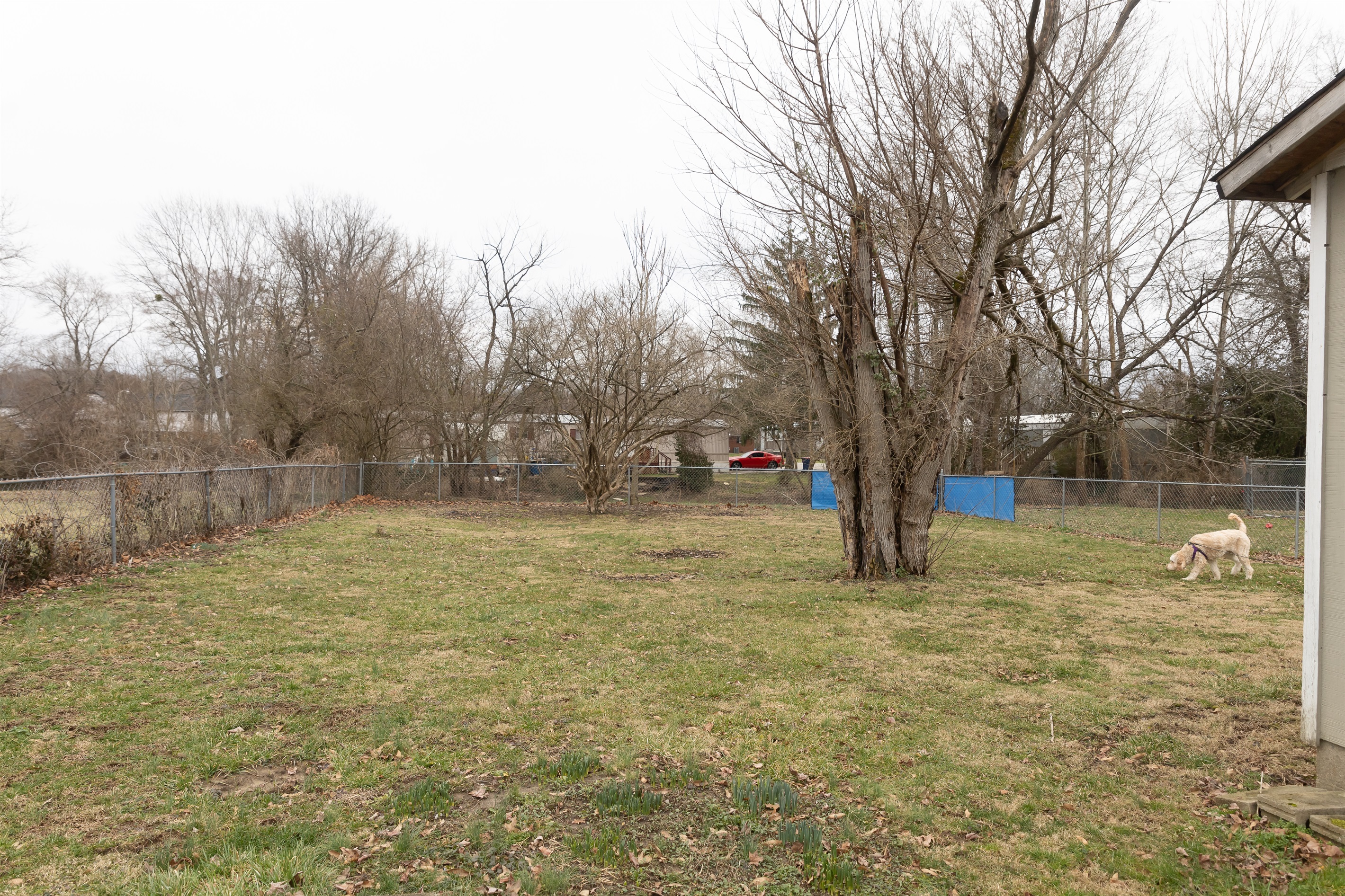 A Truly Dog-Friendly Stay in Berea