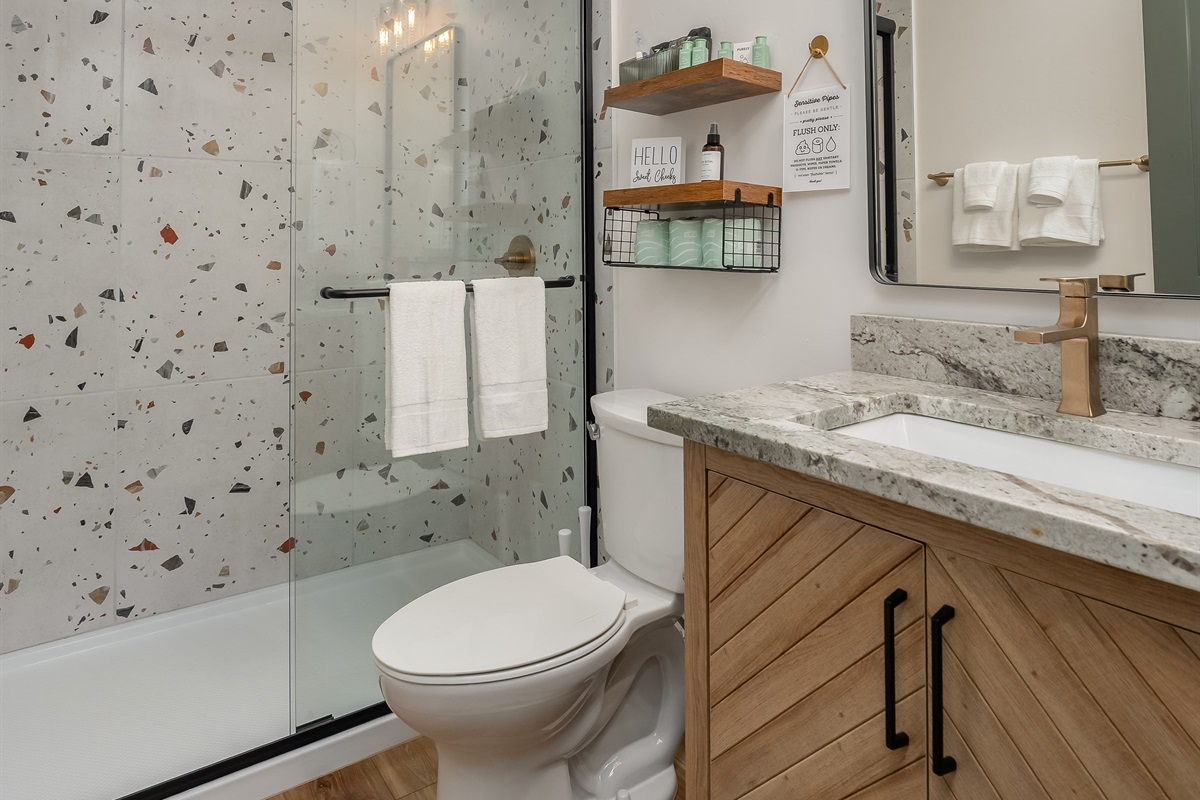 Walk In Shower In Basement